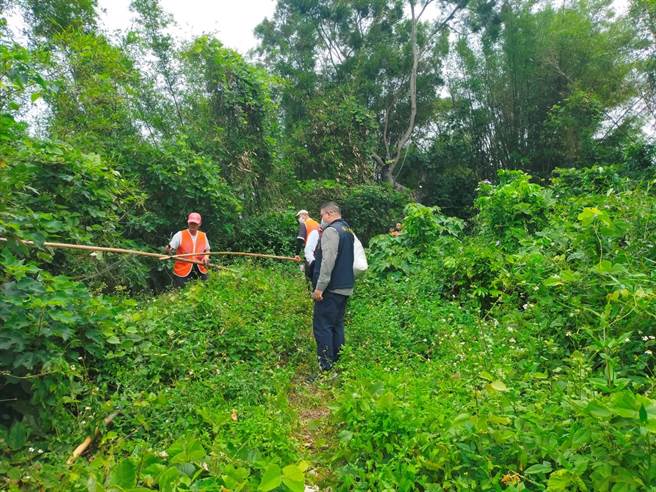 林管处结合保七总队及南海赛鸽协会一同至现场取缔及拆除违法鸟网。（嘉义林管处提供／刘秀芬台南传真）