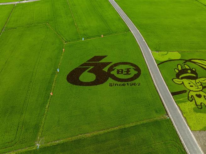 旺旺宜蘭食品與在地農民的合作，在「冬⼭三奇美徑」利用稻穀顏色的交錯變化為「60、旺」字樣的巨幅彩繪稻⽥。（宜蘭食品提供）