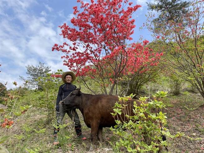 李康生目前在日本德岛拍摄影委会投资电影《黑之牛》。（台北市电影委员会提供）