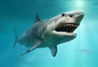 20公尺史前巨齒鯊滅絶 竟是輸給較小隻的大白鯊 專家曝關鍵