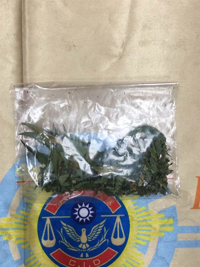 男子欲緩解憂鬱症的痛苦，自行栽種大麻活株2株、自行摘採9.5克大麻葉1包。（崔正綱攝）