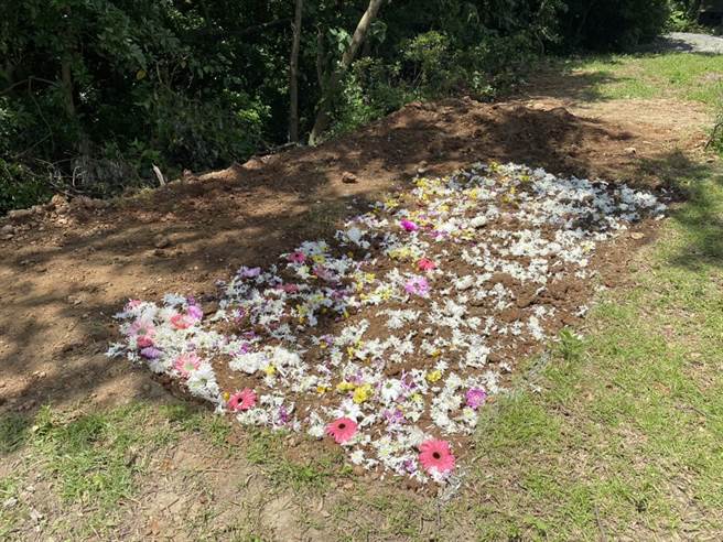 本次树葬仪式中，共安置了170名无依亡者。（杨梅区公所提供／蔡明亘桃园传真）