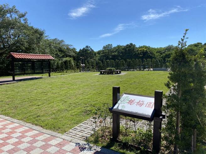 杨梅区第二树葬区域「杨梅园」。（杨梅区公所提供／蔡明亘桃园传真）