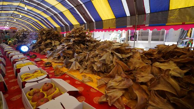 嘉义县布袋镇新塭嘉应庙九龙三公诞辰，庙方举办圣诞千秋典礼，有信徒百出千斤鱼翅为神明祝寿。（张亦惠摄）