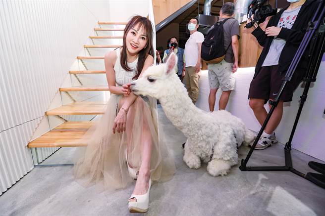 王宥忻帶著羊駝為好友新店開幕站台，吸引大批媒體與粉絲。（羅永銘攝）