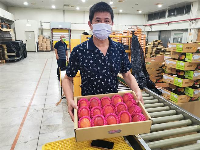 南瀛農產國際行銷公司總經理余清永表示，芒果外銷量還不大，2日裝盒的是要外銷日本的屏東芒果。（劉秀芬攝）