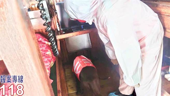 海巡專案小組派出偵搜犬協助搜索不法。（海巡署提供／張志康基隆傳真）