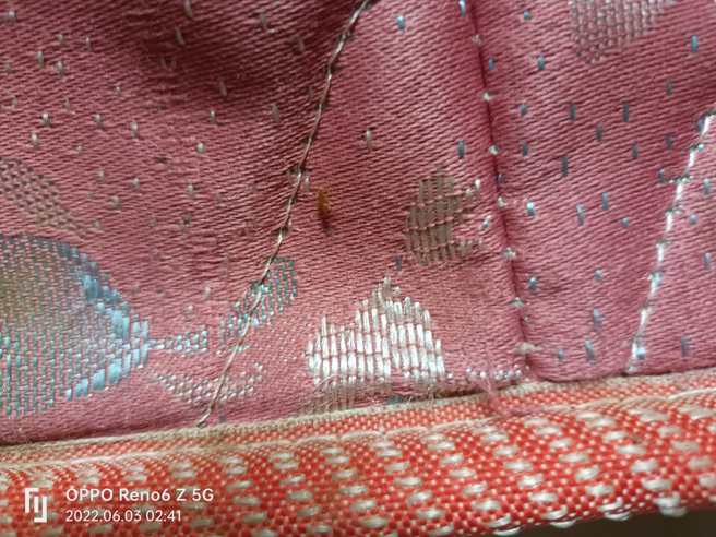 男網友確診居家發現床上有蟲。（圖／翻攝自爆廢公社）