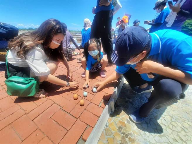 除了收「午时盐」外，洲南盐场也与家乐福基金会办立蛋活动，由家乐福基金会提供非笼饲鸡蛋供参加民眾立蛋。（洲南盐场提供／张亦惠嘉县传真）