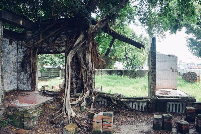 圖／IG@chiaohsieh27