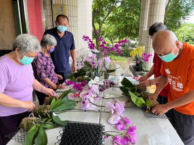 近日各社区陆续把上百株的兰花带回，布置在邻里活动中心、街道沿线等公共场域。（白河区公所提供／张毓翎台南传真）