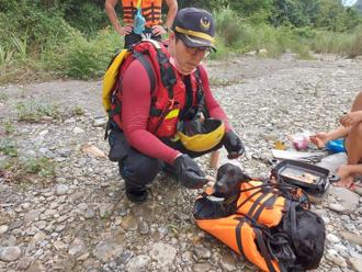 黑狗受困溪畔岩縫 消防人員、遊客協力救援脫困