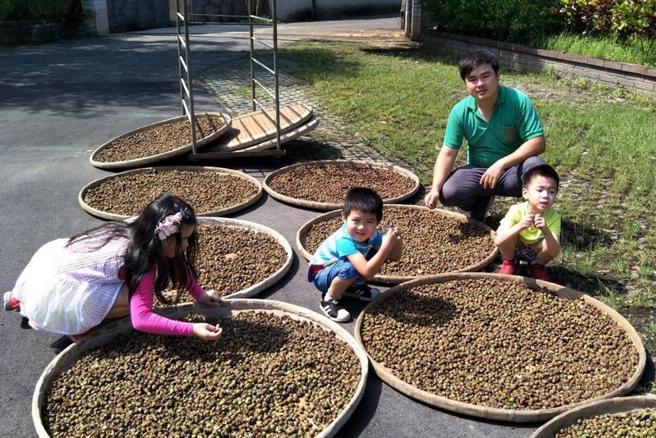  新北市三峡区青农陈宣和（后右）是制茶厂第3代传人，退伍后返乡传承经营老茶厂，除碧螺春、蜜香红茶外，也开发古树茶、白茶，并在淡季生产苦茶油、茶籽油等特色产品。图为陈宣和与家人一起晒茶籽制作苦茶油。（图/ 中央社）