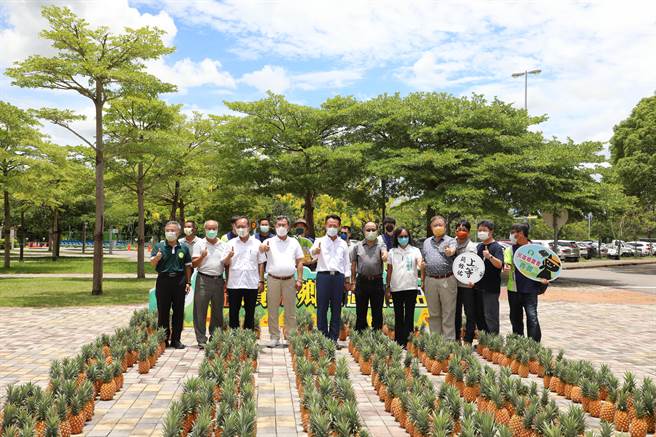 现场也特别打造「国道凤梨田」地景兼具食农教育成效，非常吸睛。（张亦惠摄）