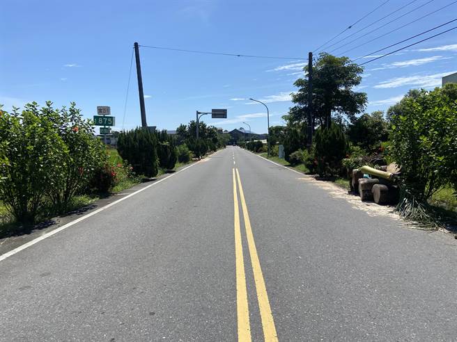 前往宜兰县五结国中的途中，会先经过一整排壮观的椰林大道，创校以来就有的大王椰子树，是附近居民的童年回忆，如今已不在。（吴佩蓉摄）