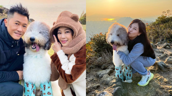 刘小慧和老公身价破亿，相当疼爱自家巨型贵宾Scooby。(图/刘小慧 fb)