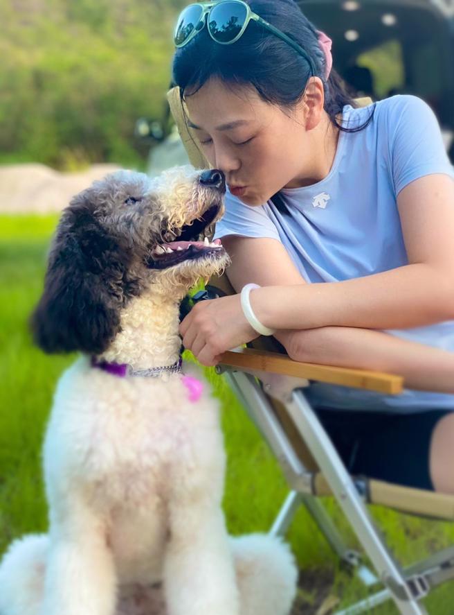 刘小慧很疼她的巨型贵宾狗Scooby。(图/刘小慧 fb)