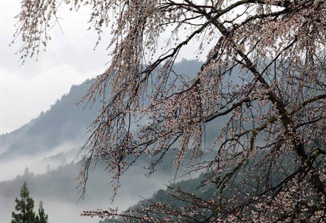 熊野古道伏拝王子。（飛達旅行社提供）