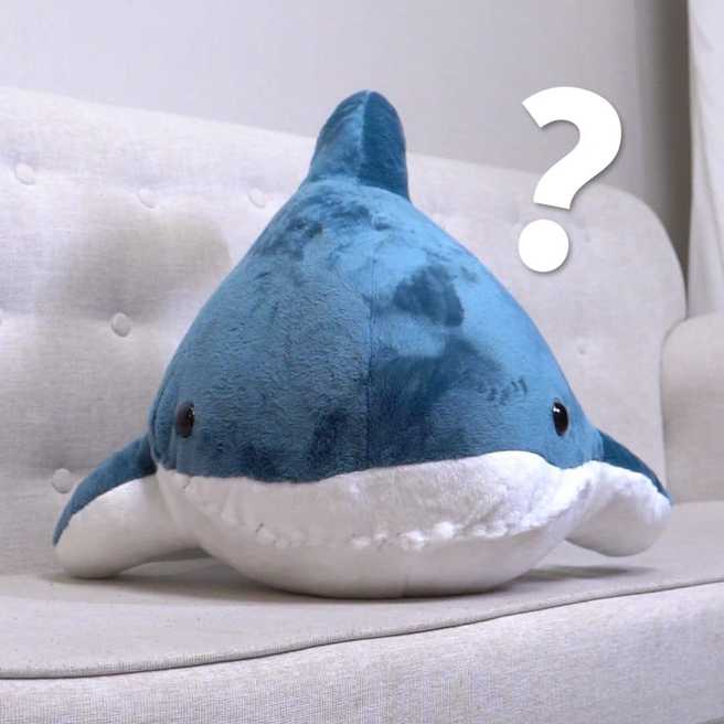 鲨鱼嘴缝起来的模样，不少网友直接笑喷。（图／翻摄自爆废公社公开版）