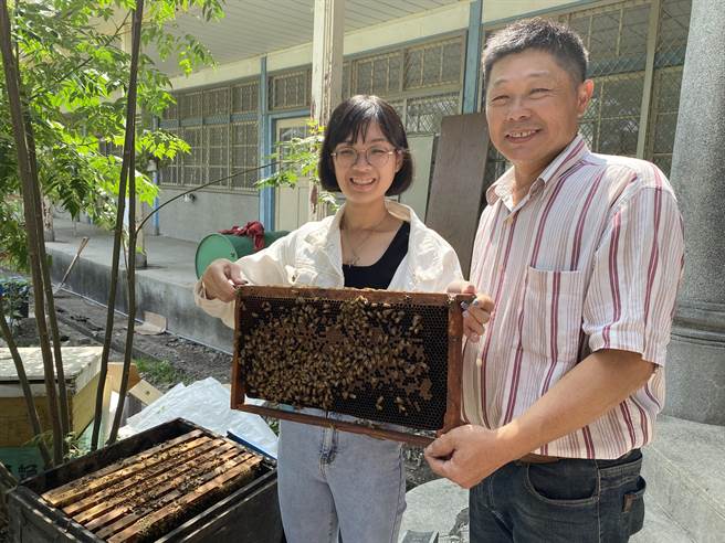林永胜、林梓钧父女在南靖糖厂养蜂取蜜。（廖素慧摄）
