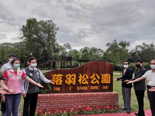 桃园大溪落羽松公园完工启用。(吕筱蝉摄)