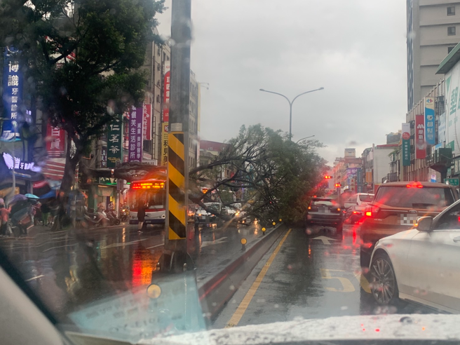北市士林区中正路上路树倒塌，直接横躺压在公车车顶，路过车辆遭波及，现场车流严重回堵。（翻摄自记者爆料网）