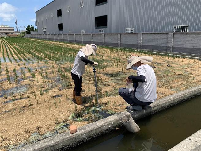 农地持续进行污染检测。（彰化县环保局提供／吴敏菁彰化传真）