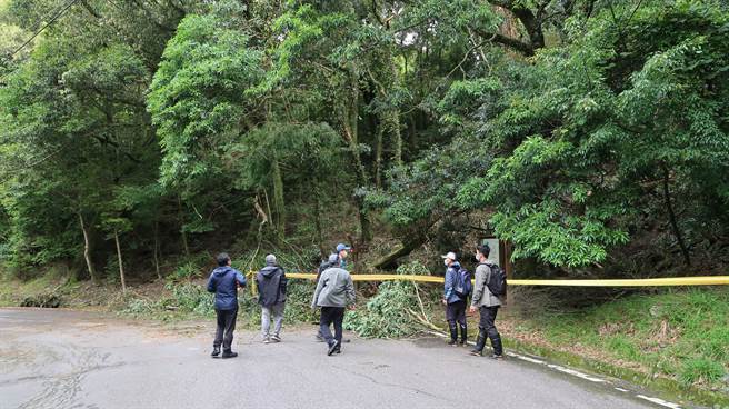 意外發生後，步道口現場已封閉。（東勢林管處提供）