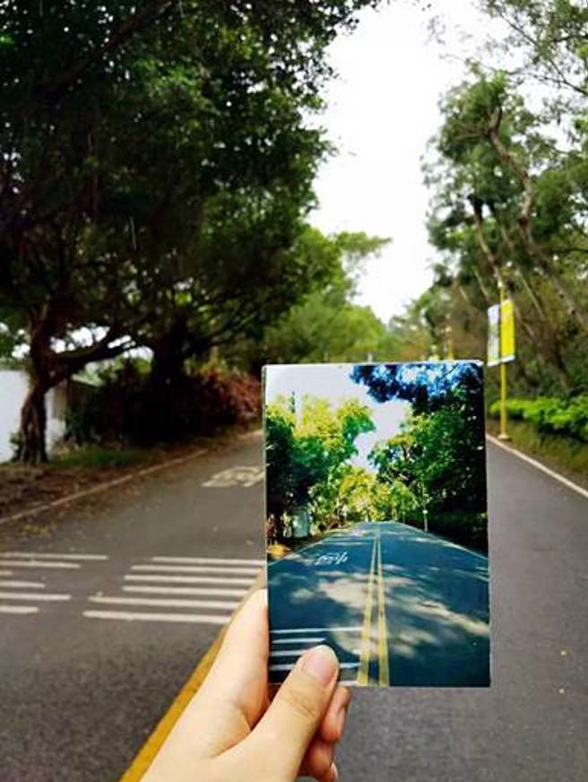 拿著你給的相片，走過你來時的路。（作者提供）