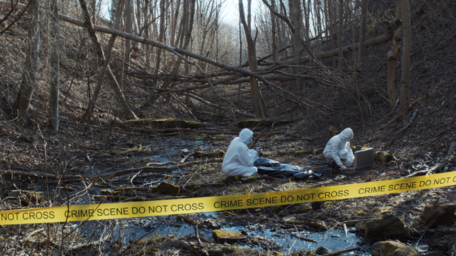 墨西哥近期也传出一名男子涉嫌在脸书诱骗7名求职女性，残忍的殴打受害者，最后甚至肢解遗体弃置各处。(示意图／shutterstock)