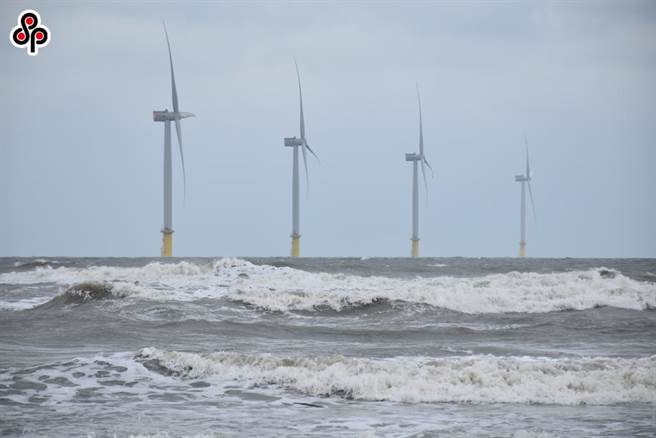 離岸風電或海洋能等，如未經完整科學調查和評估，可能反而造成更大的碳排放量，也會對海洋生態系造成難以回復的傷害。（報系資料照）