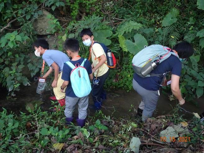 小溪溝放置抓蝦陷阱。（雪管處提供／李京昇苗栗傳真）