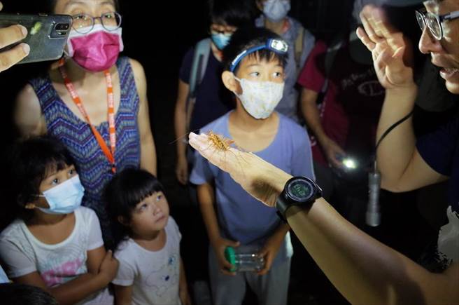 民眾專注聆聽精彩的夜間生物觀察。（雪管處提供／李京昇苗栗傳真）