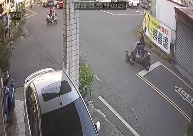 林园区文贤北路和文昌街路口，2只野狗突然衝出来，导致许姓女骑士迎面撞上。（翻摄照片／高雄洪靖宜传真）