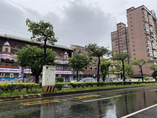 嘉義市八德路中央分隔島種植木棉花，經修前後的現況。（廖素慧攝）