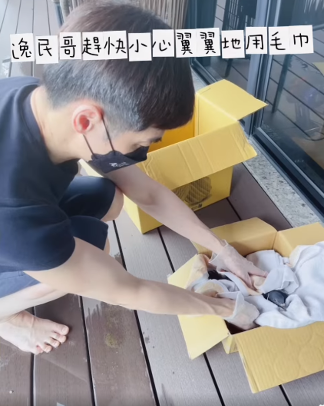 宋逸民小心翼翼包起小鴿子，替牠細心檢查傷勢。(圖/宋逸民和陳維齡的幸福生活 FB)