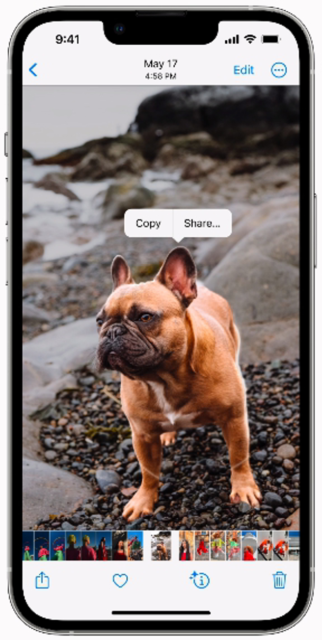 「图像查询」推出新功能，长按图片里的人物，即可将其从背景中拖曳出来。（翻摄自苹果官网）