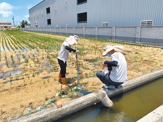 彰化县农地重金属污染问题，环保局仍持续定期进行监测採样。（彰化县环保局提供／吴敏菁彰化传真）