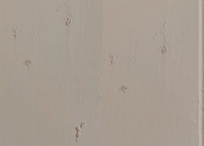 有网友拍自家墙壁PO脸书求问「什么虫在钻墙壁」，内行人表示这是一种「壁癌虫」，俗称白华。（翻摄自脸书爆系知识家）
