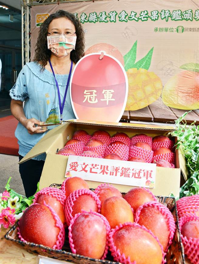 果農張秀琴以草生栽培的精緻農法技壓群雄，拿到屏東愛文評鑑賽事冠軍。（林和生攝）