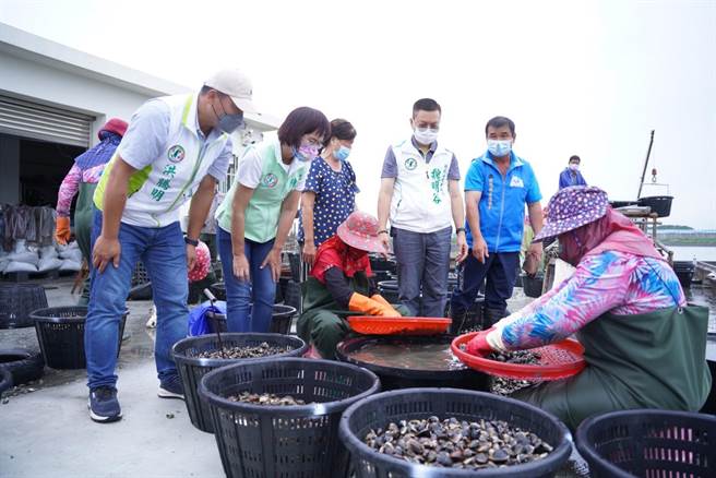 连续豪雨彰化沿海文蛤养殖死亡近9成。（洪腾明提供／吴敏菁彰化传真）