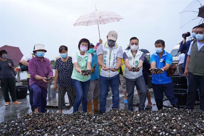 连续豪雨彰化沿海文蛤养殖死亡近9成，立委陈素月邀集农委会、水试所等前往会勘。（陈素月办公室提供／吴敏菁彰化传真）