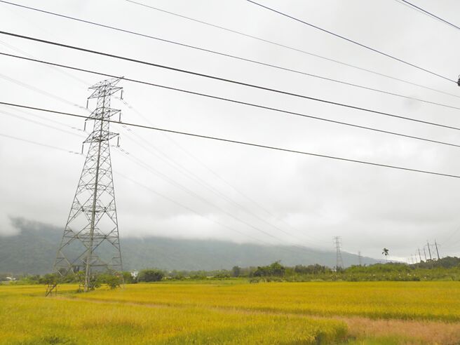 台电37年前在花莲县寿丰乡树湖村设置高达23座电塔，电缆、基座多位于平原农地，地主变卖不易，盼能逐步迁移电塔或将电缆地下化。（罗亦晽摄）