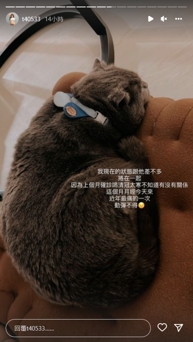 梓梓近日生理期來痛到無法動彈。（圖／IG@t40533）