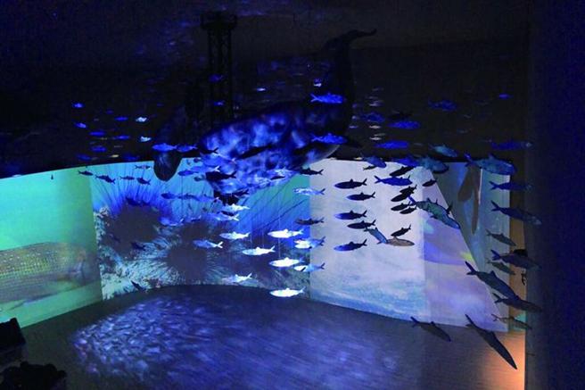 ▲潮境智能海洋馆。　图：基隆市政府／提供