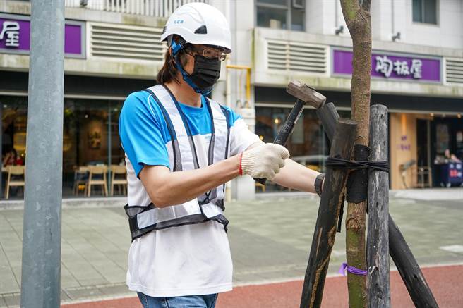 林口区公所预计在一年内在人行道及公园广植500棵各类乔木。（林口区公所提供）