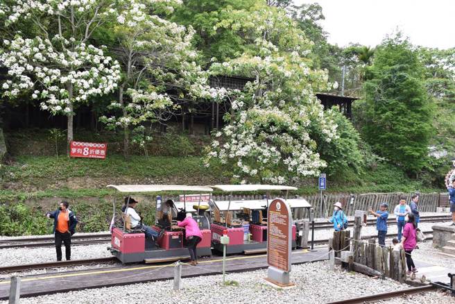 最新民调显示，苗栗县民最满意的为观光旅游。图为苗栗三义胜兴客家桐花祭，铁道自行车沿线开满桐花。（资料照片/谢明俊摄）