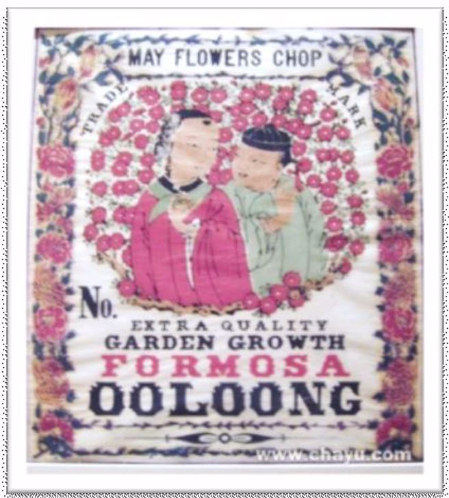 以福尔摩沙为名的「Formosa Oolong Tea」，也就是今天的白毫乌龙茶。（照片：作者戴卓贤提供）