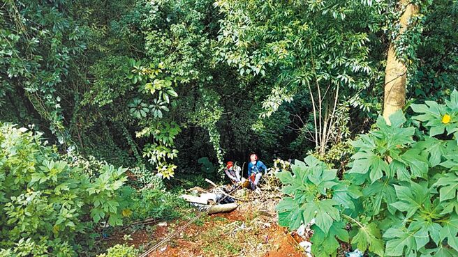 松姓男子酒后打死庄姓友人后弃尸山区，警方循着弃尸地点找到庄男时，已经严重腐化全身长满蛆虫，法医判定为颅内损伤为主要死因，依杀人罪、遗弃尸体罪等将松男提起公诉。（本报资料照片）