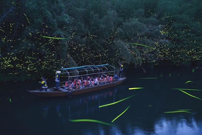 梦幻赏萤游船每年仅行驶不到一个月，想感受萤火虫围绕之美，记得提早规划游程！　图：山口県観光连盟／来源